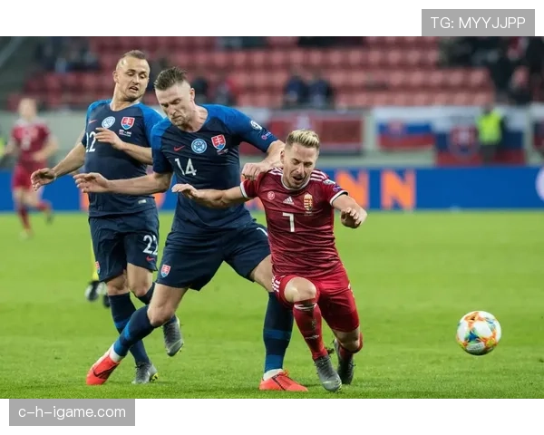 斯洛伐克球迷热情如火,倾力助威球队迎战强敌 斯洛伐克球迷热情如火,倾力助威球队迎战强敌